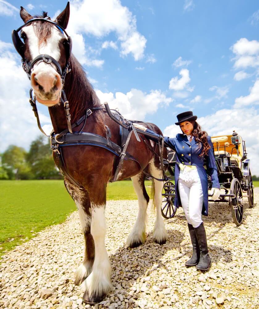 Beautiful female horse carriage driver wearing an outfit